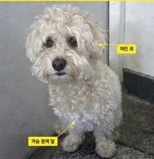 밀크 사진 1